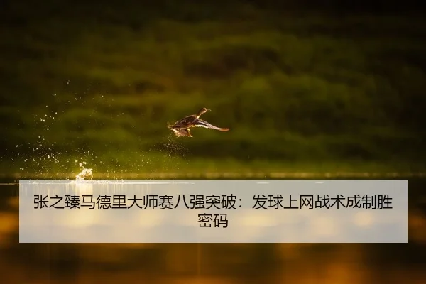 张之臻马德里大师赛八强突破：发球上网战术成制胜密码